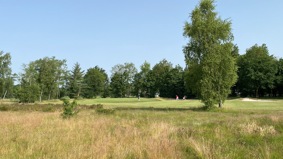 Finale dag Nationaal Open Matchplay <a href="/geijsterengolf/">golfclubgeijsteren</a> ☀️ ⛳️