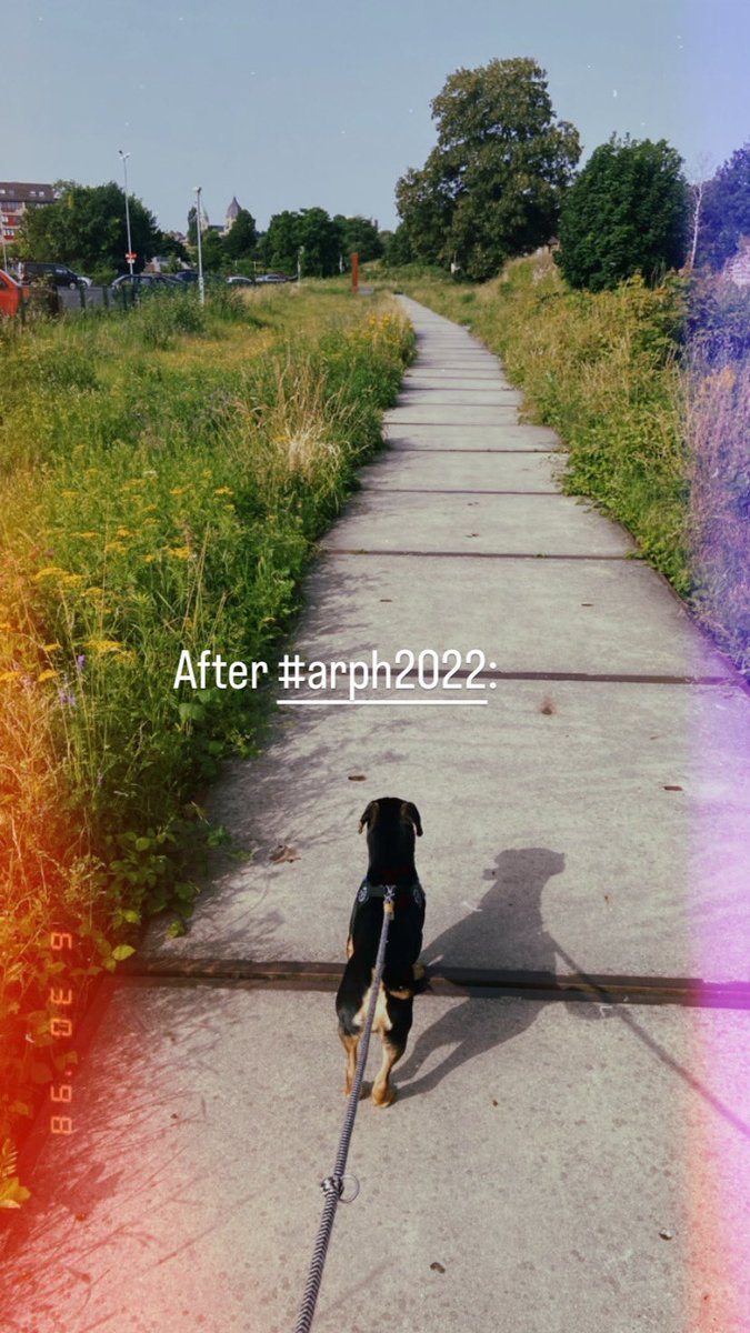 Thomas Gültzow (he/him) 🏳️🌈 (@thomasgultzow) on Twitter photo After a very interesting, inspiring, & ‘gezellige’ #ARPH2022 it is also very nice to be back w/ my favourite dog #Takkie. Thank you, <a href="/ARPH_HP/">Association for Researchers in Psychology & Health</a>!
#dogsoftwitter #Dachshundtwitter After a very interesting, inspiring, & ‘gezellige’ #ARPH2022 it is also very nice to be back w/ my favourite dog #Takkie. Thank you, <a href="/ARPH_HP/">Association for Researchers in Psychology & Health</a>!
#dogsoftwitter #Dachshundtwitter