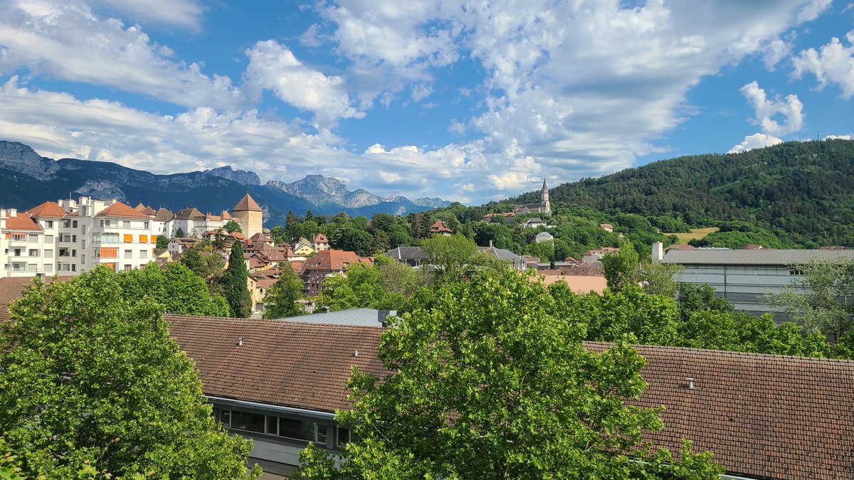 Prolet Miteva tweet media