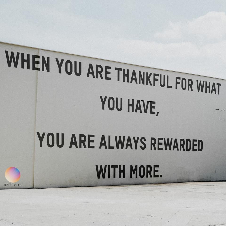 basicsmood's tweet image. 