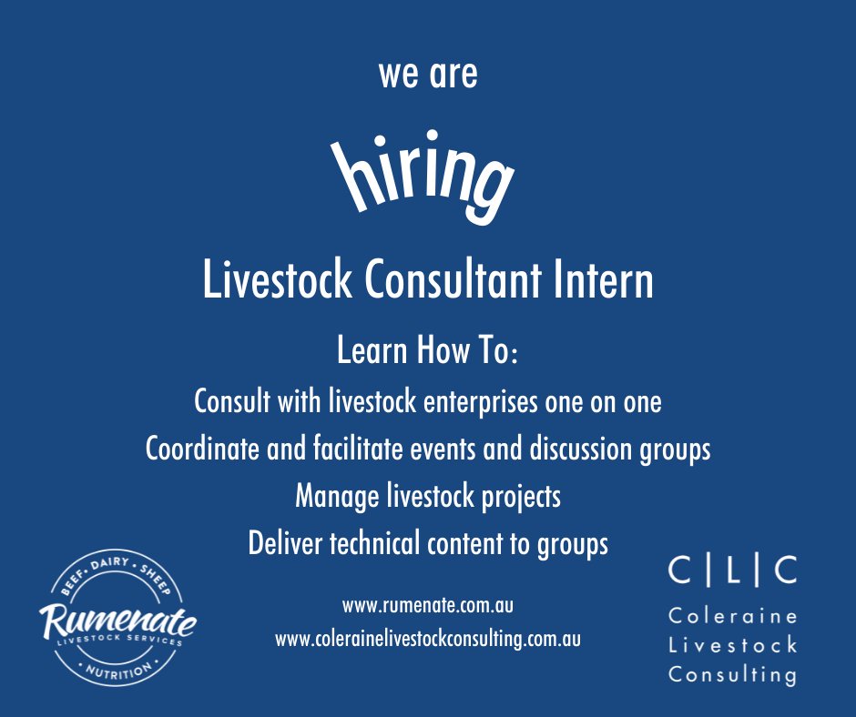 Meg Bell tweet media