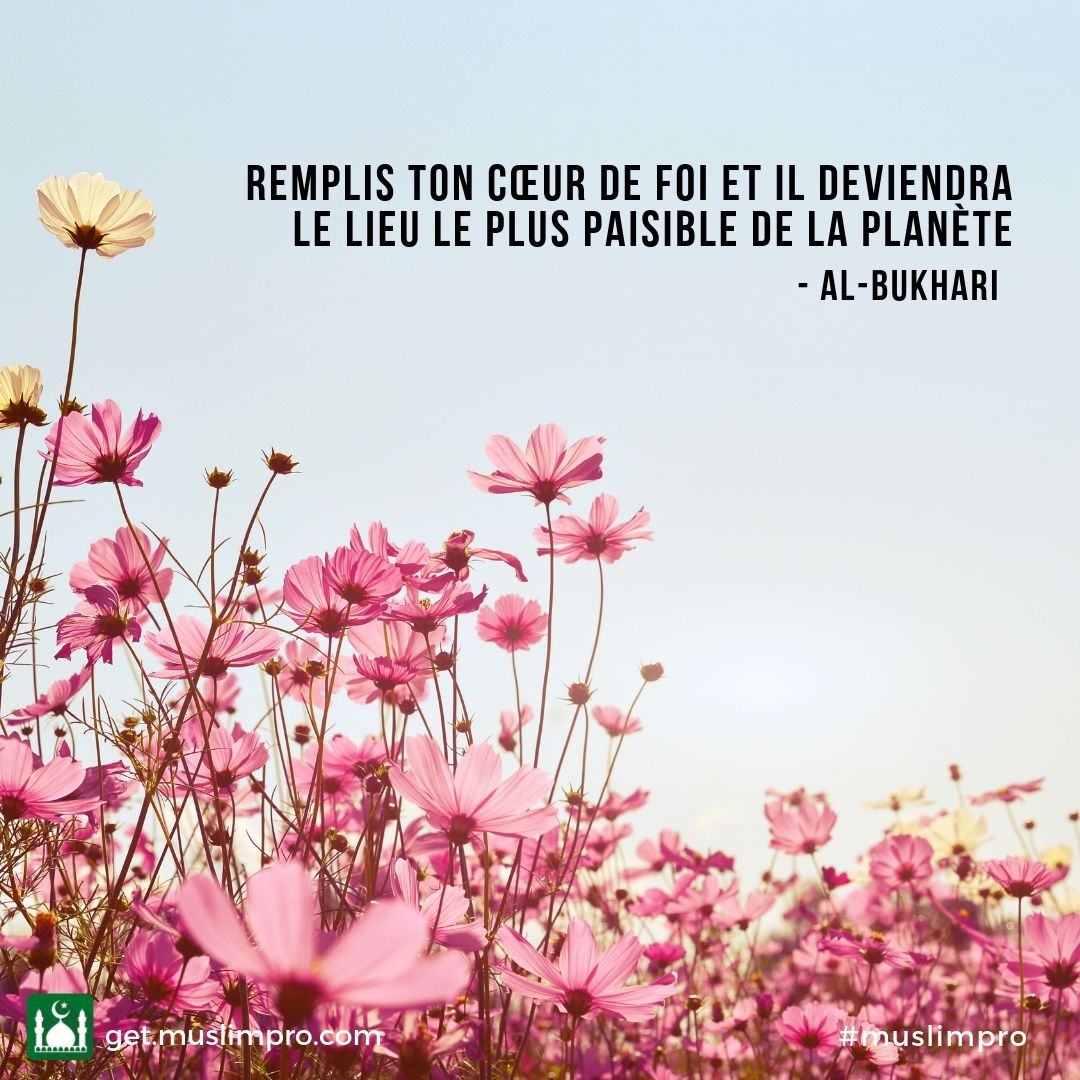 Muslim Pro App France Muslimprofr Twitter Muslim Pro App France Muslimprofr Twitter