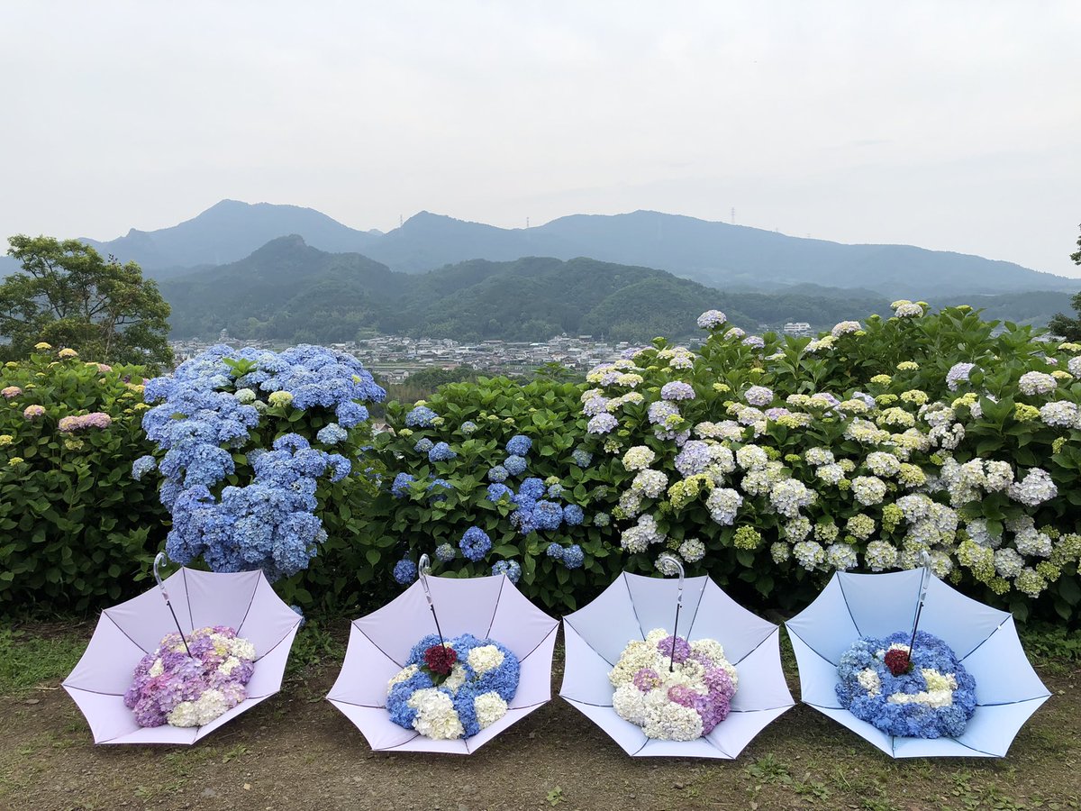 下仁田あじさい園 口コミ 評判 最新情報まとめ 素敵な旅行 観光スポット情報がきっと見つかる ナウティスgo