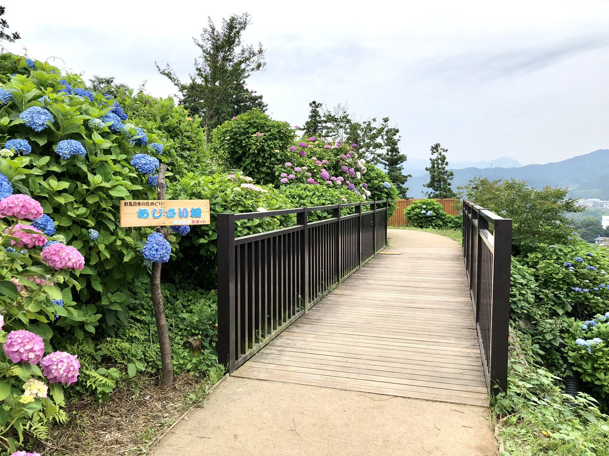 下仁田あじさい園 口コミ 評判 最新情報まとめ 素敵な旅行 観光スポット情報がきっと見つかる ナウティスgo