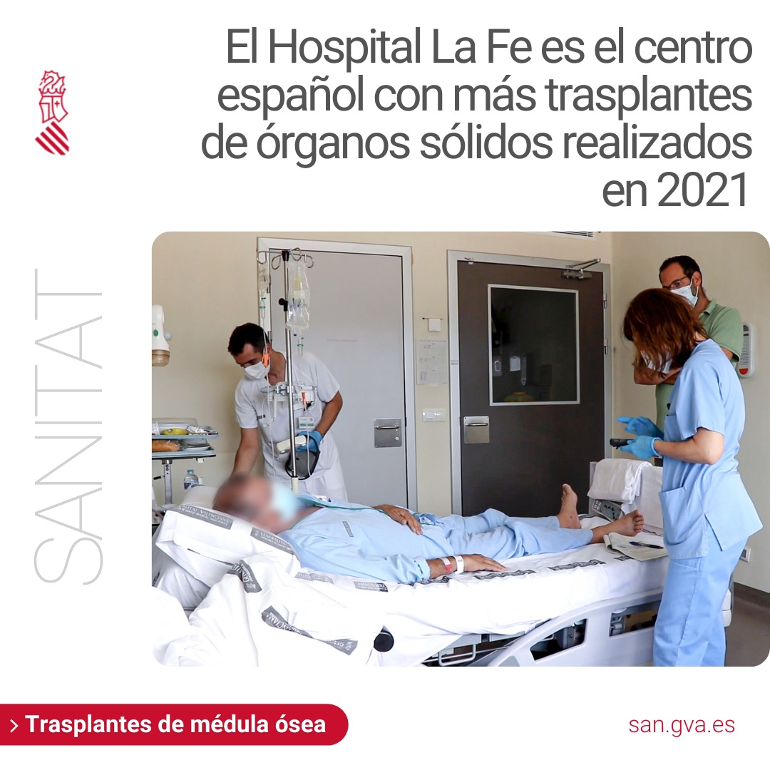 GVAsanitat's tweet photo. 🏥 @HospitalLaFe es el primer centro hospitalario español en sobrepasar los 100 trasplantes de médula ósea anuales

🔗https://t.co/b18n6Svzet https://t.co/sE5HcON1dI