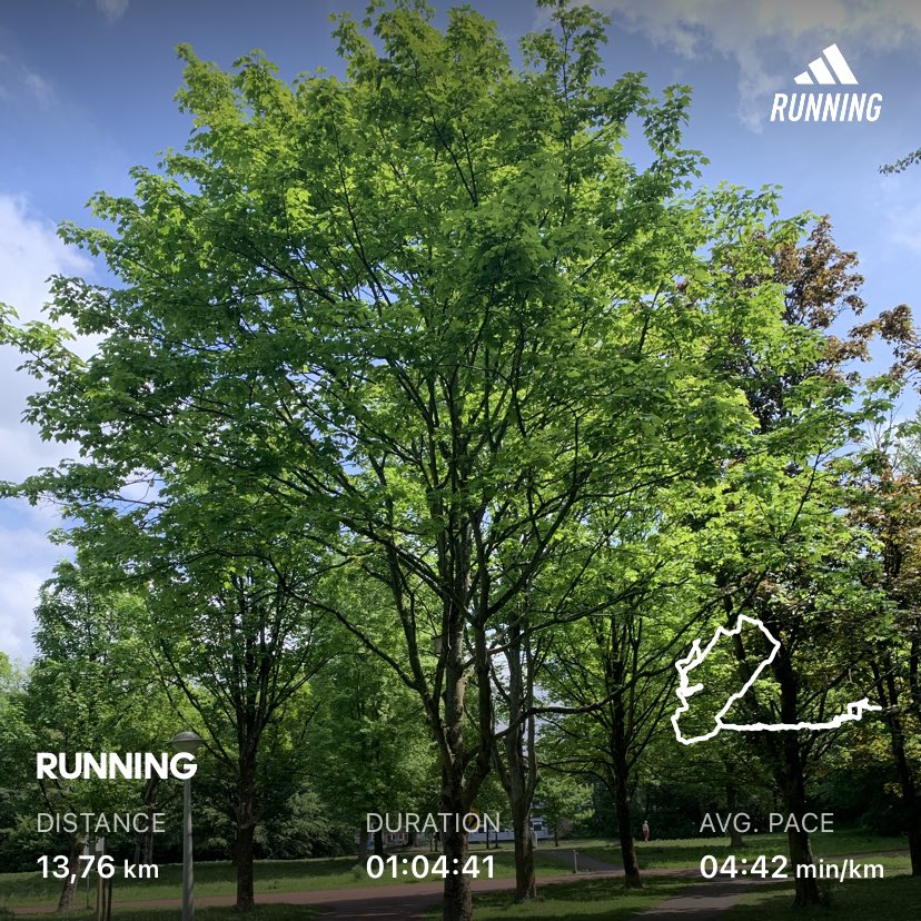 beppecatanese's tweet photo. Some action before ☀️☀️☀️🍺🍺🍺

#running #summer #weekendstuff https://t.co/5aMgTVXo5F