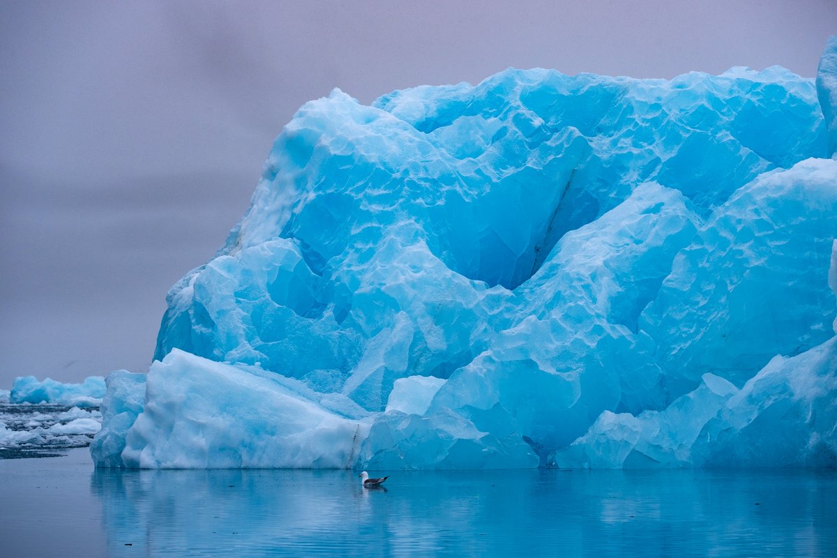 Guillaume Lahure tweet media