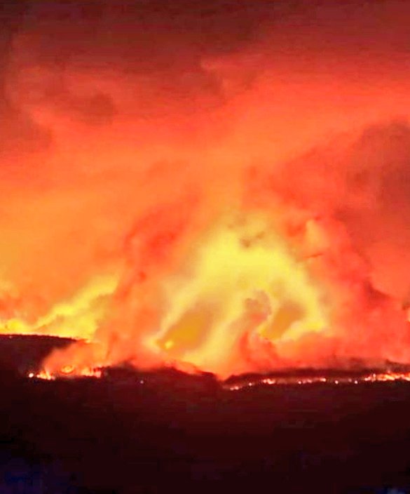 eltarrodeheno's tweet photo. En el #IFSierraDeLaCulebra se está perdiendo un patrimonio forestal y faunístico inconcebible. Camadas de lobos, zorros, ciervos, calcinadas. Los efectivos se juegan la vida con medios cada vez más precarios. O invertimos seriamente en prevención o en 30 años no quedará nada 💔 https://t.co/3uRYrALIo0