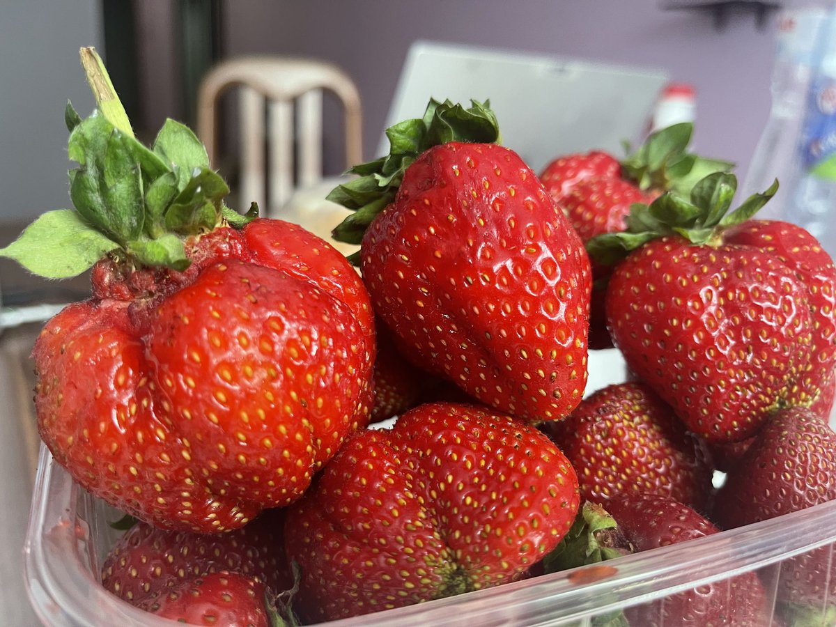 Ukrainian strawberries are bad-ass … bigger than golf balls. No wonder the world needs its produce…