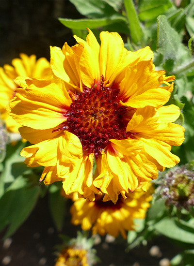 St Christopher's tweet media