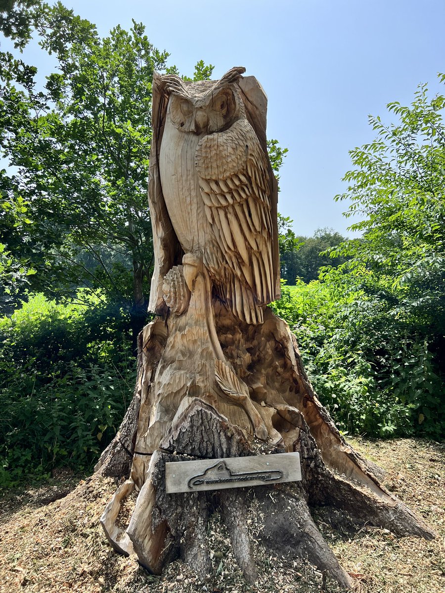 1 jaar na de valwind!
De uil kijkt uit over de rotonde bij de Donderberg.
Zo mooi