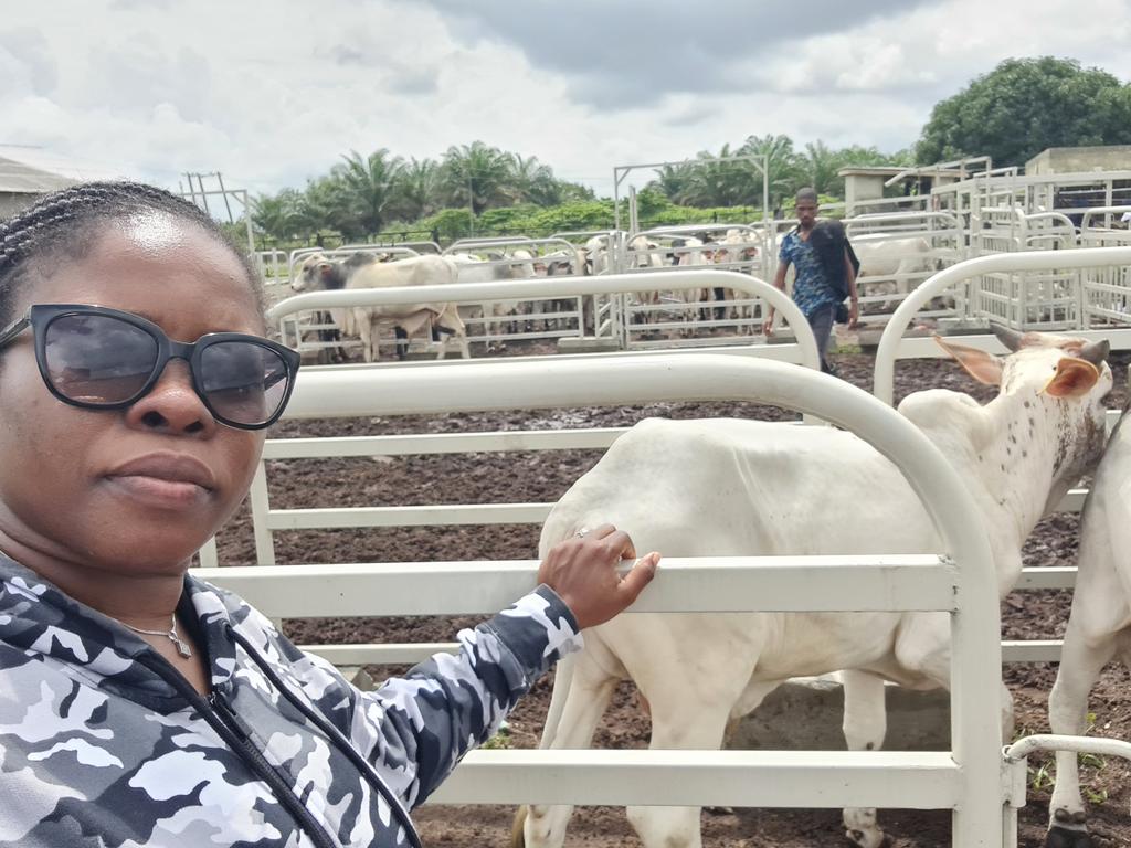 Abi_Olusanya's tweet image. ....🐄🐄🐄...mooooooo