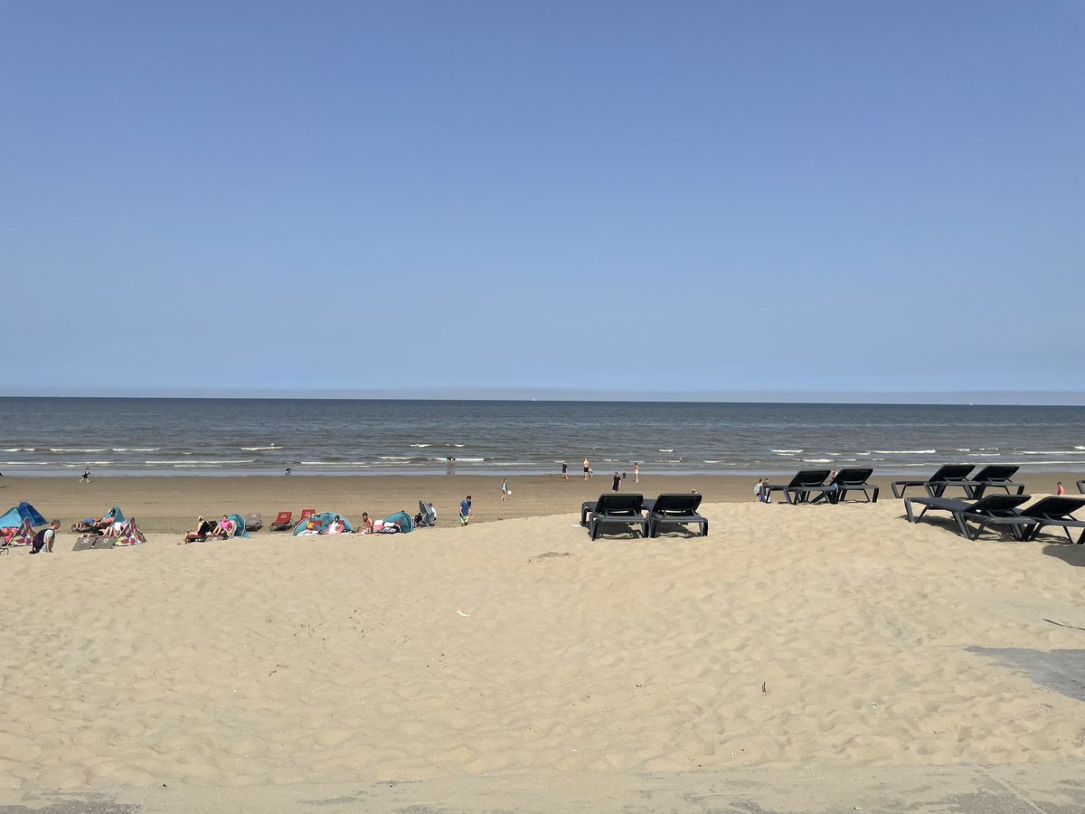 Gm #nftcommunity today is a beach day for me , have a nice and sunny 🌞 day #nftart #NFTFriends 🫶❤️