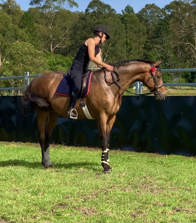 HillviewThorou1's tweet photo. #chriz #chrizzy #chriza
Helene Charisma (FRA)
Air Chief Marshal (Ire) x Lidana (Ire)
‘Sauvignon HK’
Not everyone gets to kiss a gorgeous Frenchman every night.🙊 https://t.co/Xg4n6RMfKR