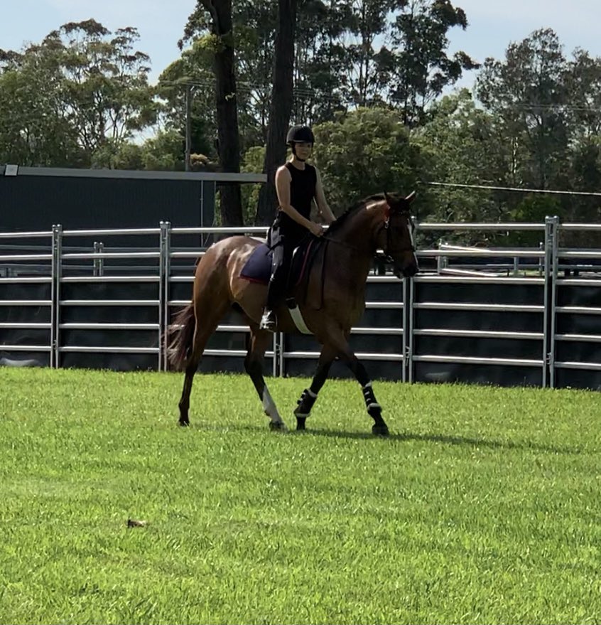 HillviewThorou1's tweet photo. #chriz #chrizzy #chriza
Helene Charisma (FRA)
Air Chief Marshal (Ire) x Lidana (Ire)
‘Sauvignon HK’
Not everyone gets to kiss a gorgeous Frenchman every night.🙊 https://t.co/Xg4n6RMfKR