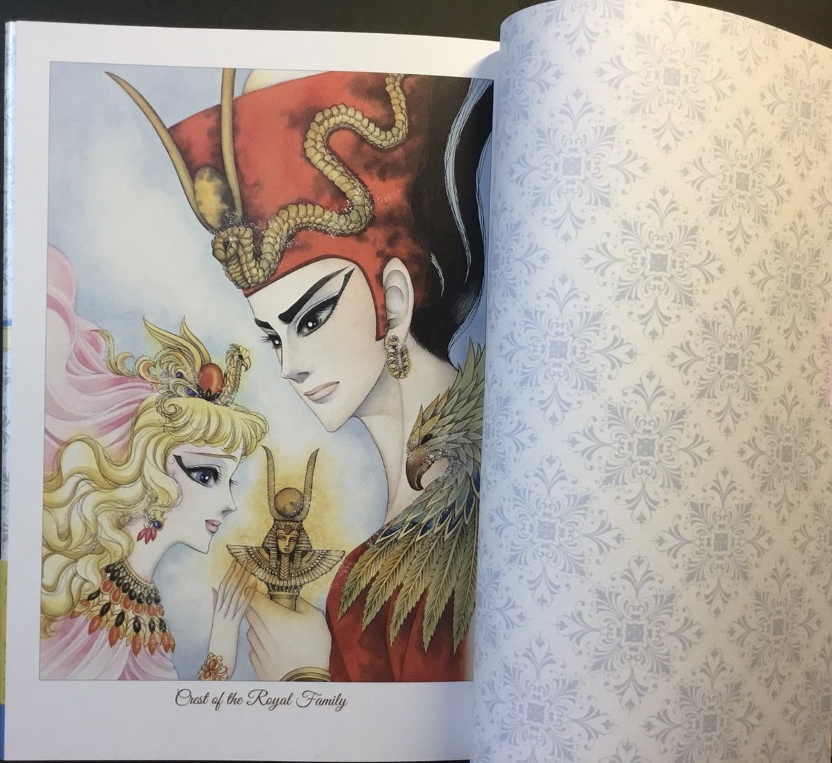 王家の欲望 イラスト集 細川知栄子 王家の欲望 イラスト集 細川知栄子