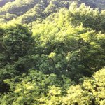 ツイートに含まれる画像
