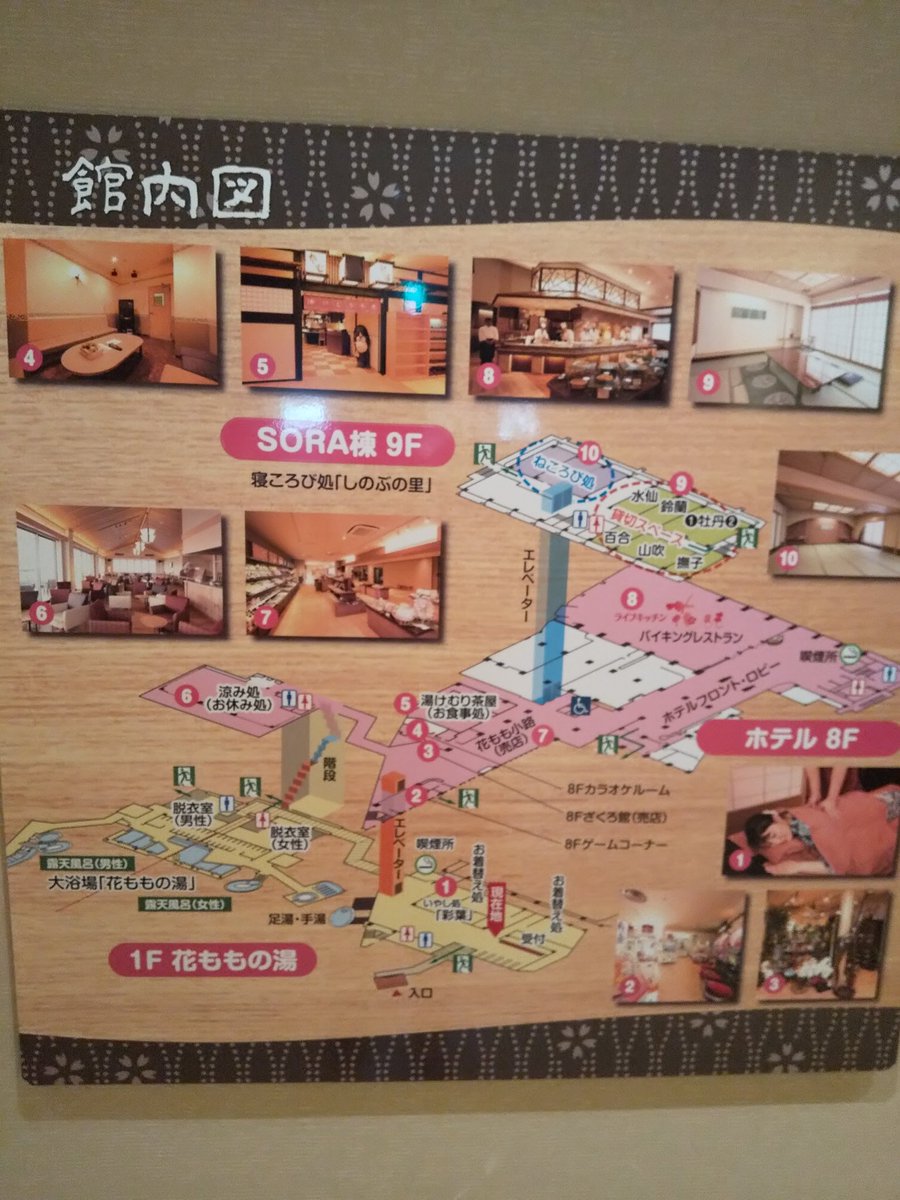 Nn5278ns Real Hojo Twitter