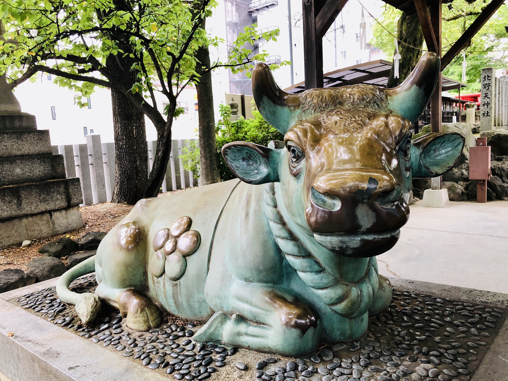 Eo 愛嬌のある撫で牛 治したいところを撫でると病が治ると言われています A Charming Cow Statue It Is Believed That We Will Cure The Illness Stroking Any Part Of This Cow Where You Cure 神社 名古屋市 Shrine Takamushrine Nagoya