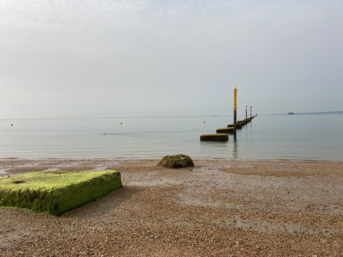 LandShape's tweet image. Flat calm sea at Southsea beach - perfect for an early morning swim. Shame about the wet wipes on the high tide line #sewage ⁦@SouthernWater⁩