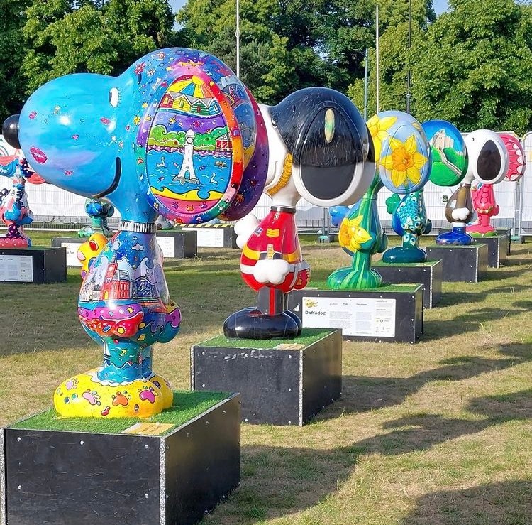 A Dog’s Trail tweet media