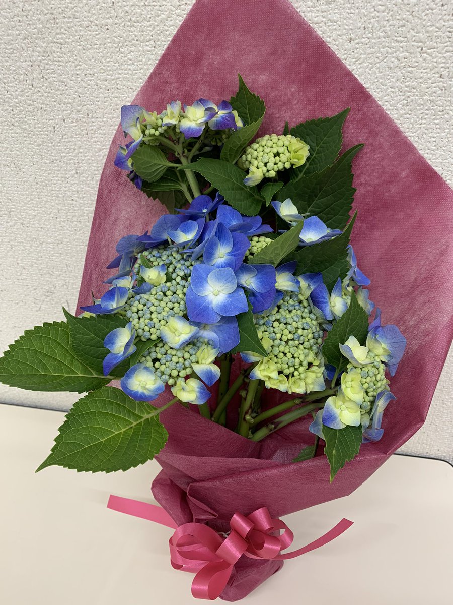 HaNaChaN1828's tweet photo. 庭の紫陽花が満開😊
花束にしてみました🎀 https://t.co/qIeSI99MV9