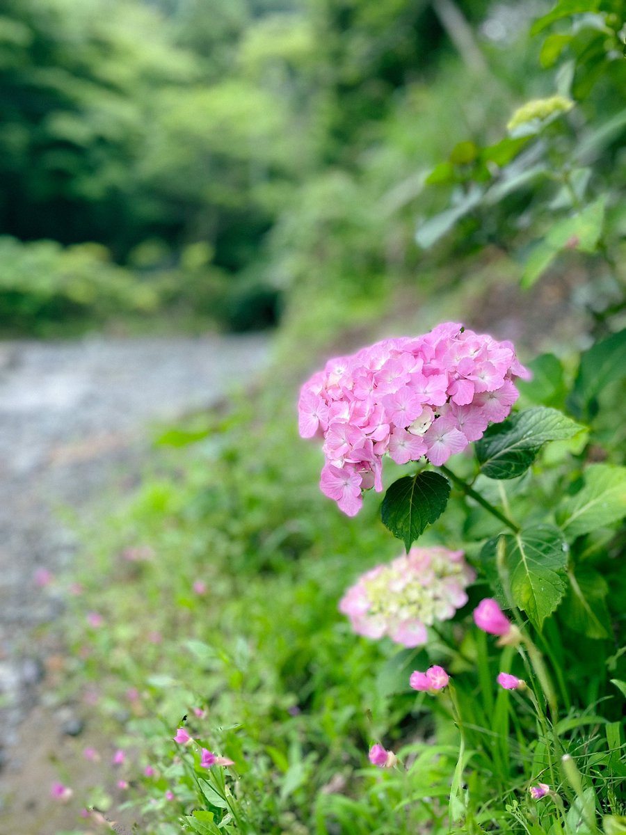 nmmn910's tweet photo. 15時に家出るくらいのゆるキャンプ🏕
気合い入れずに行く感じが良い！ https://t.co/n536xKeSMF