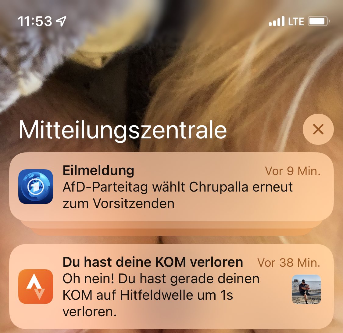 Schlechte Neuigkeiten, wo man auch hinschaut.