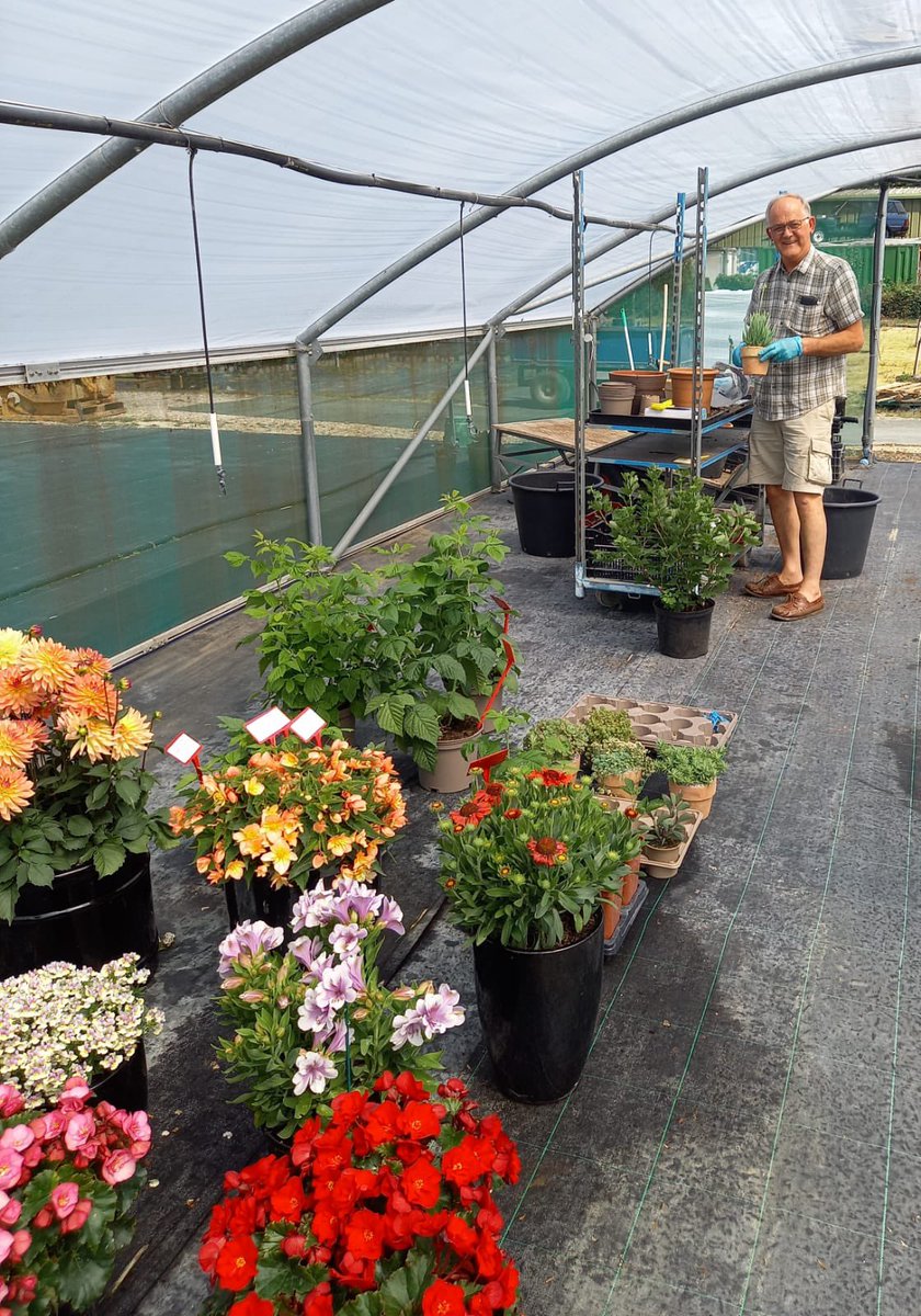 TristramPlants's tweet photo. Busy preparing for the HTA National Plant Show. The Trials team at Walberton were helping Neil from @Farplants get all the plants looking as good as possible on one of the hottest days of the year. #horticulture #htanationalplantshow #newplants #sussexgrown #farplants @HTAnews https://t.co/QuhGdNKSLD
