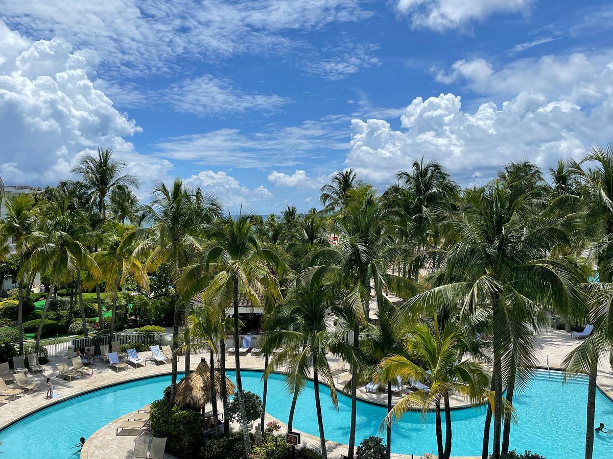 LagoMarResortFL's tweet photo. Don’t spend all day looking at the pretty view – dive into it! #mylagomar #fortlauderdalebeach (pic @melissastoltz10) https://t.co/VAmBU3ePhm