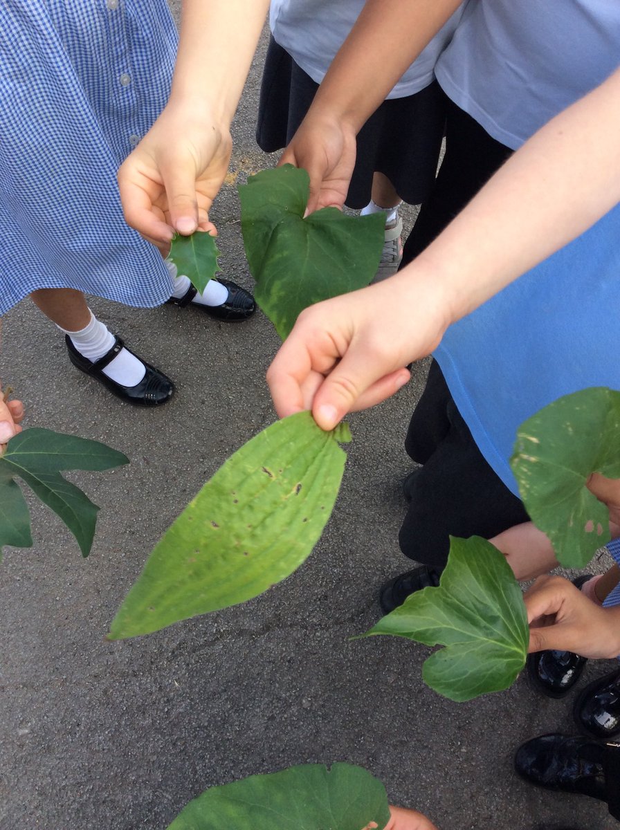 Lydia Davison tweet media