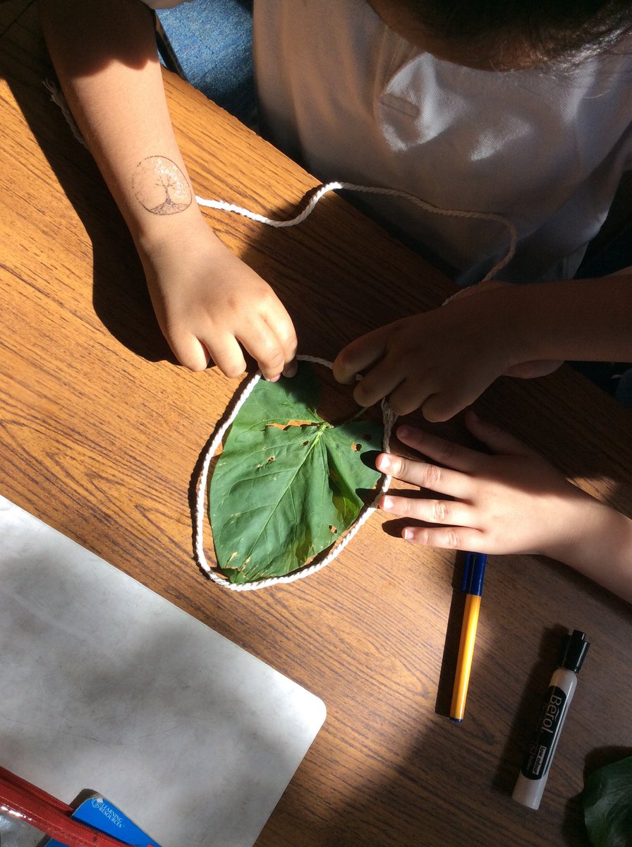 Lydia Davison tweet media