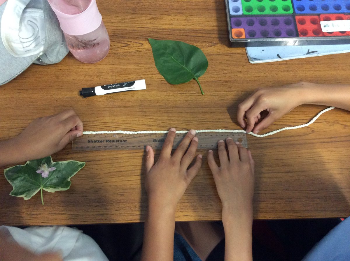 Lydia Davison tweet media