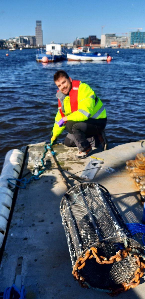 DCU Water Institute tweet media