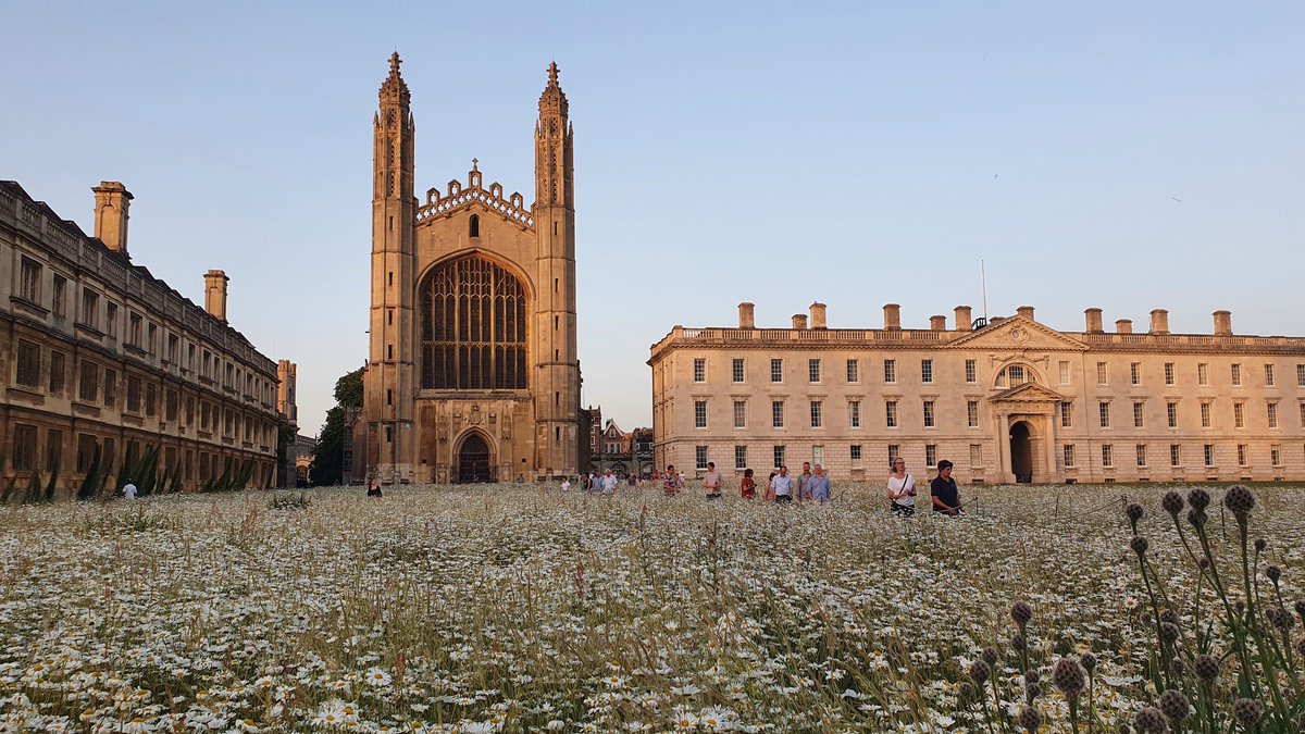 CUSChorus's tweet photo. Students can get tickets for £5 on the door tonight! 

We cannot wait to perform Haydn's Creation in such a special place. #BigChoir #BigWorks #BigVenues 

@Kings_College @CamUniCMP @Cambridge_Music

https://t.co/WSFvvHoReY https://t.co/qgo2fXdAIM