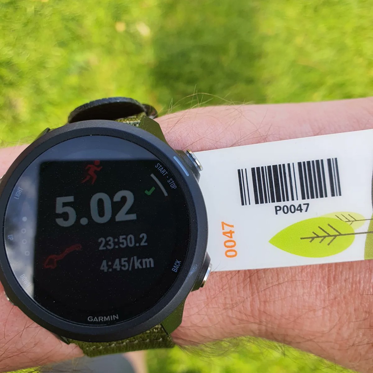 Arkonios tweet media