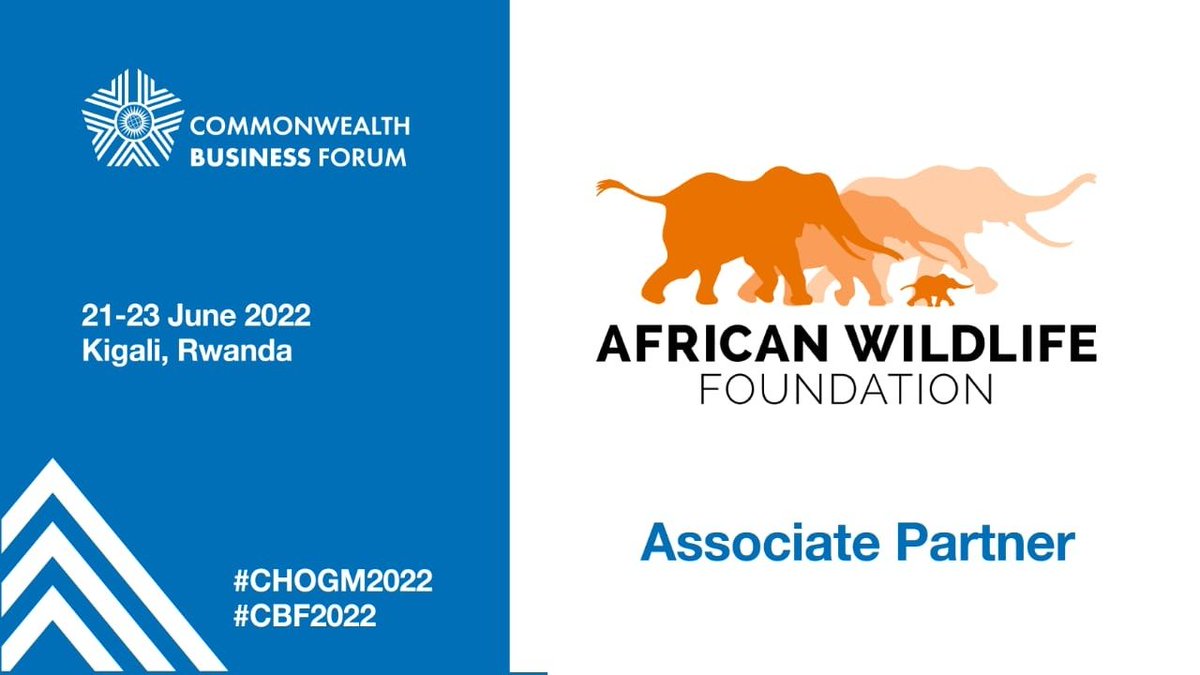 BeliseKariza's tweet photo. As associate partners at #CBF2022, @AWF_Official's side event will host @EmeryRubagenga @Juliet_Kabera #RobBass and @AndreaAthanas1 as they make a case for increased financing in conservation, the keynote will be delivered by @AWFCEO and moderated by @georgiendirangu! See you!! https://t.co/2DT1Fcuc3S