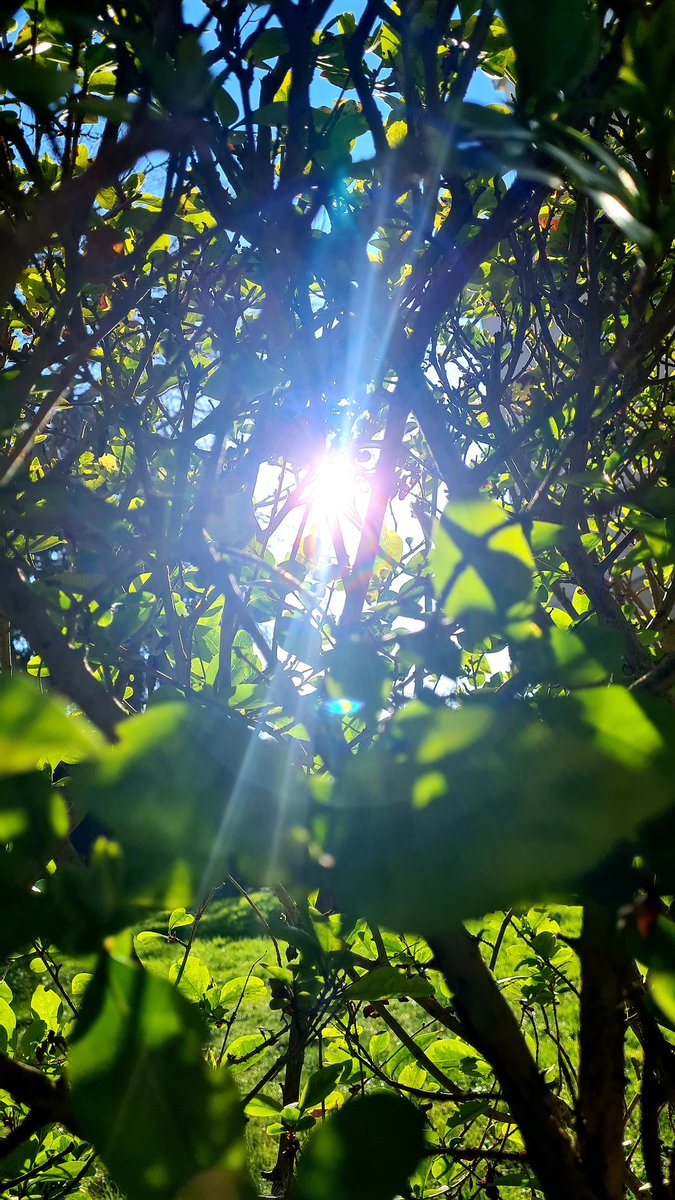 Séverine tweet media