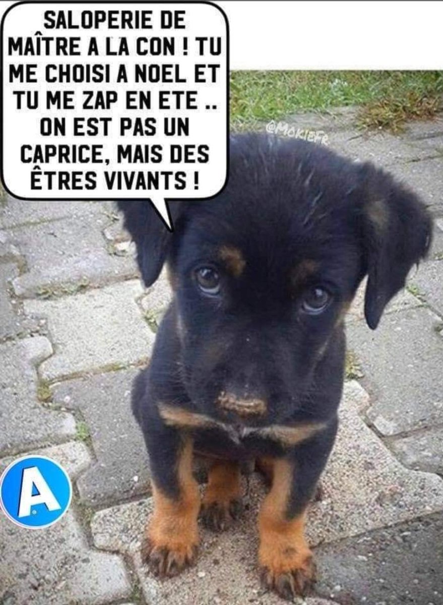 LE NETTOYEUR. tweet media
