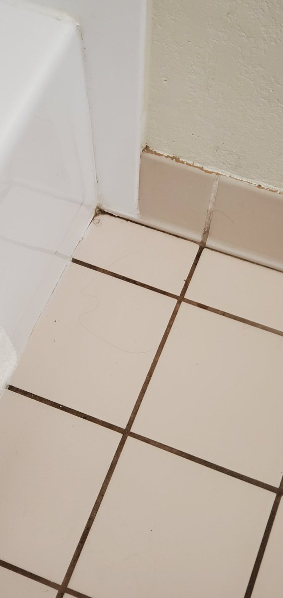 NO LONGER HERE tweet media