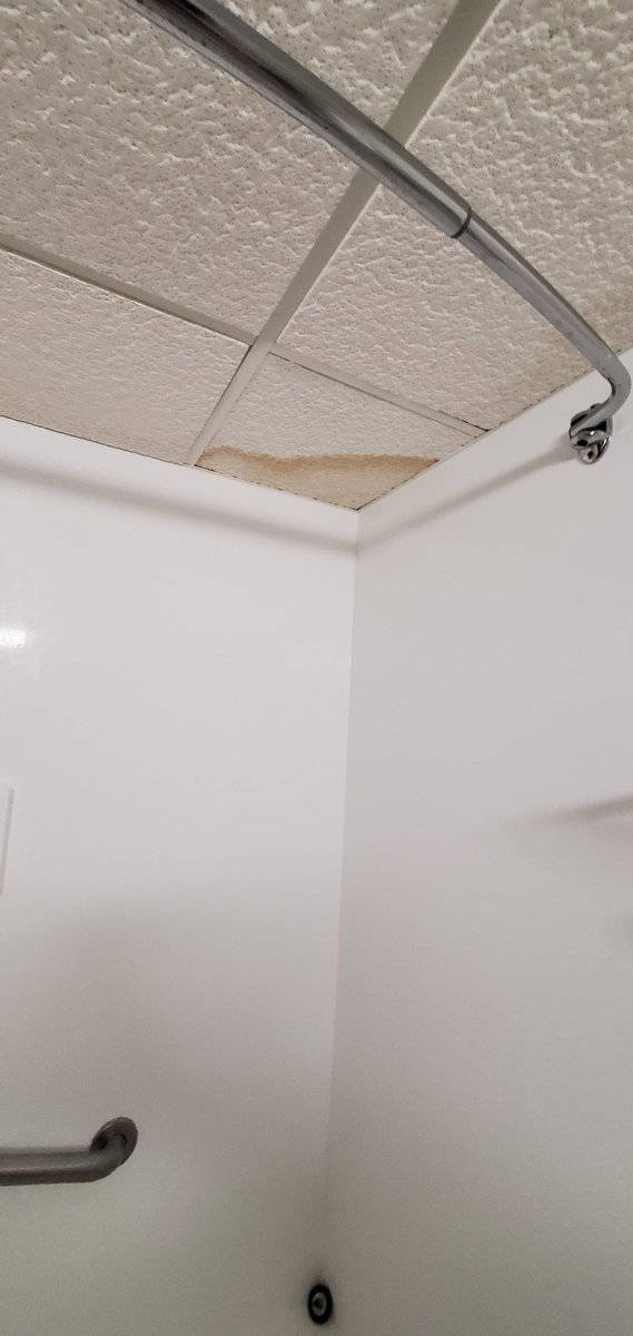 NO LONGER HERE tweet media