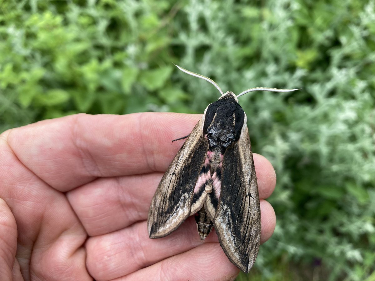 Darren Starkey tweet media