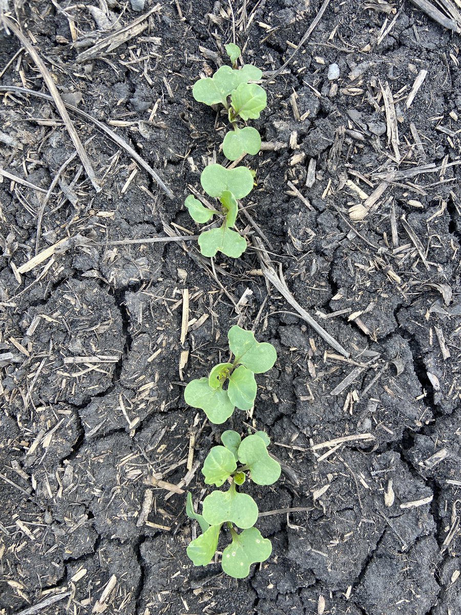 Kristen Winter tweet media