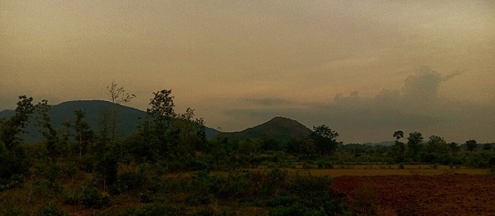 ଘରମୁହାଁ😍
#ଗାଁ 
#ଗୋଧୂଳି 
#ଏଣୁତେଣୁ_ଫଟୋ