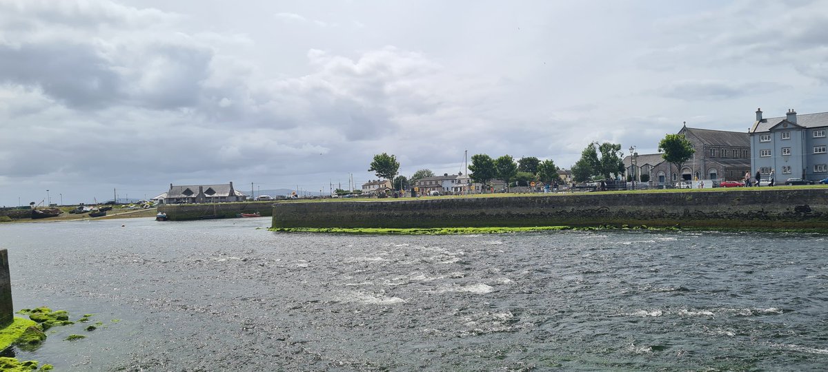 Greenshine bsky.app/profile/greenshinemusic tweet media