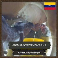 ¿Por qué tomar #Leche Venezolana? - #Venezuela #HechoEnVenezuela #TOMALECHEVENEZOLANA #ElCampoEsLaSolución   <a href="/fegalago/">FEGALAGO</a> <a href="/Fedenaga/">FEDENAGA</a> <a href="/feproagro/">FEPROAGRO BOLIVAR</a>  <a href="/fegafalcon/">Fegafalcon</a> <a href="/FegaBarinas/">FegaBarinas</a> conelcamposiempre.blogspot.com/2018/07/por-qu…