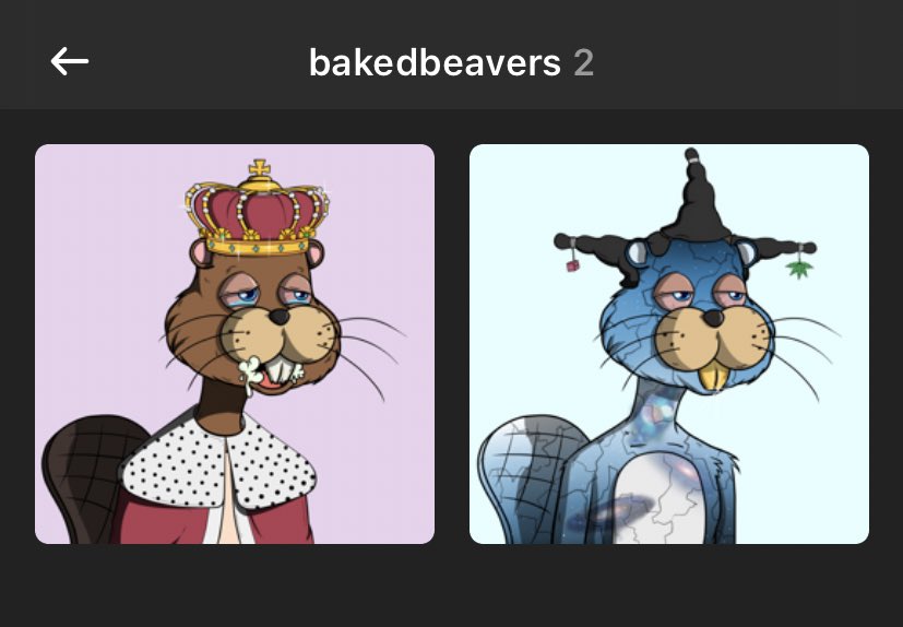 rookiepleb's tweet photo. @BakedBeavers 🚬🤏 https://t.co/2gnTYR66a3