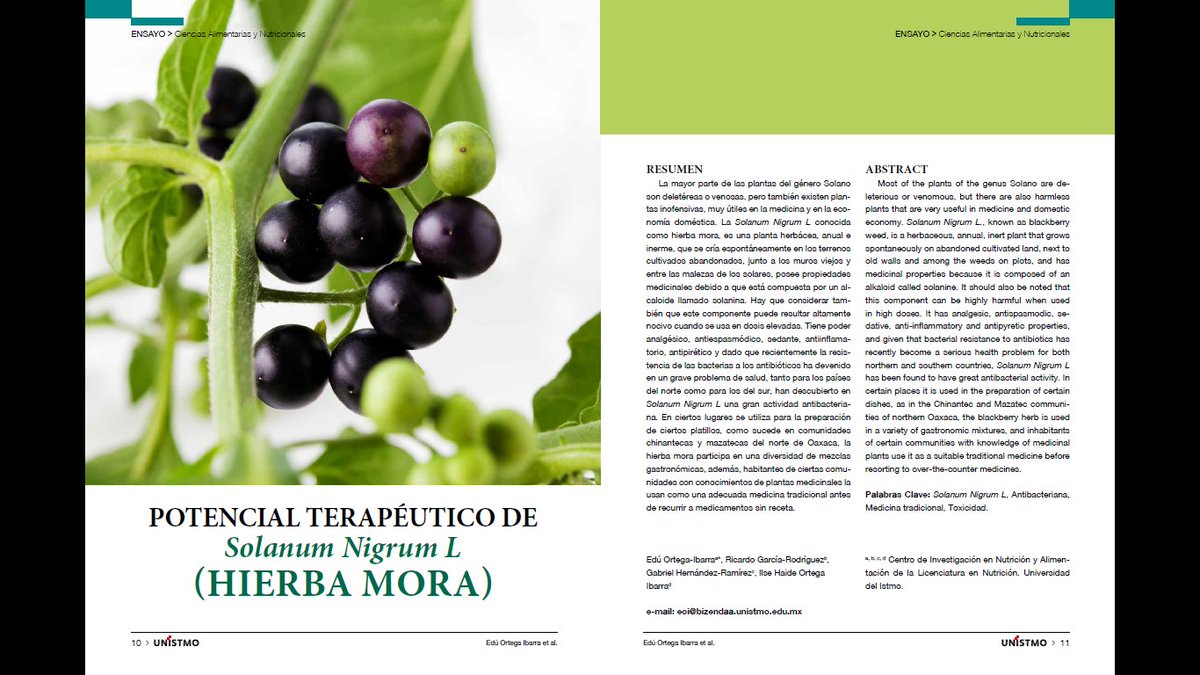 EduOrtegaIbarra's tweet photo. ¡Nuuuuuuuuueva publicación!

Ortega Ibarra, E., García Roríguez, R., Hernández Ramírez, G., &amp; Ortega Ibarra, I. H. (2022, junio). Potencial terapéutico de Solanum Nigrum L (hierba mora). Revista General UNISTMO, 1(1). https://t.co/HhR57fia8o https://t.co/TPQV2lL9X9