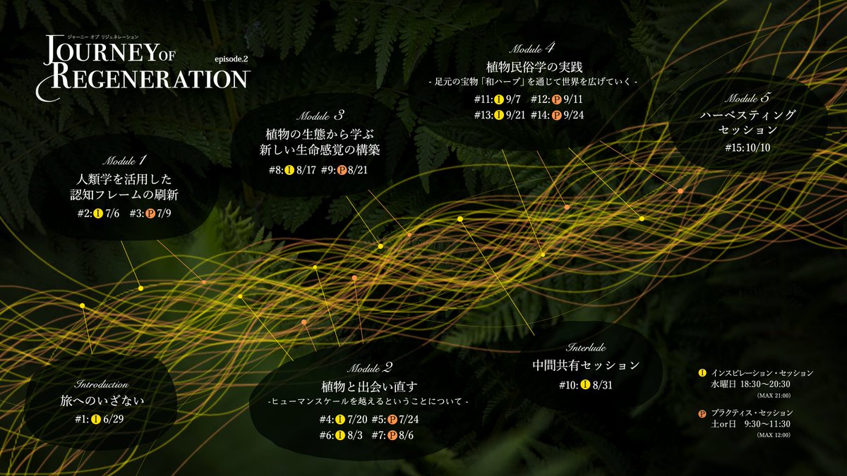 MemesEcological's tweet photo. 植物と人類学をテーマに4ヶ月ほどの旅路を共に歩むJourney of Regeneration エピソード２

今回は、５つのモジュールを通じて、無意識の前提や当たり前を問い直す人類学の手法を学びながら、それぞれが住まう土地や身近な植物とのつながりを取り戻していくための実践を試みていきます。#JoR2 https://t.co/GTw03DhQL9
