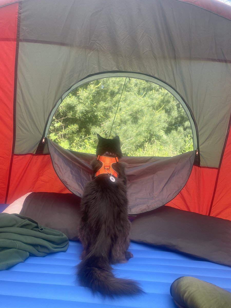 hensadventures's tweet photo. ⛺️ https://t.co/NZpK0ZgdSF